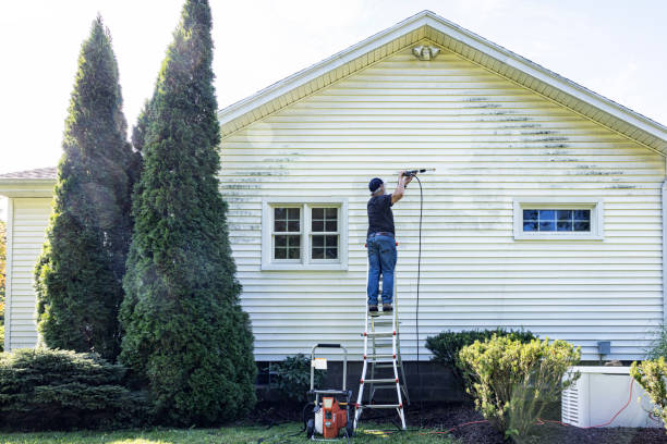 Best Gutter Cleaning  in Brook Highland, AL